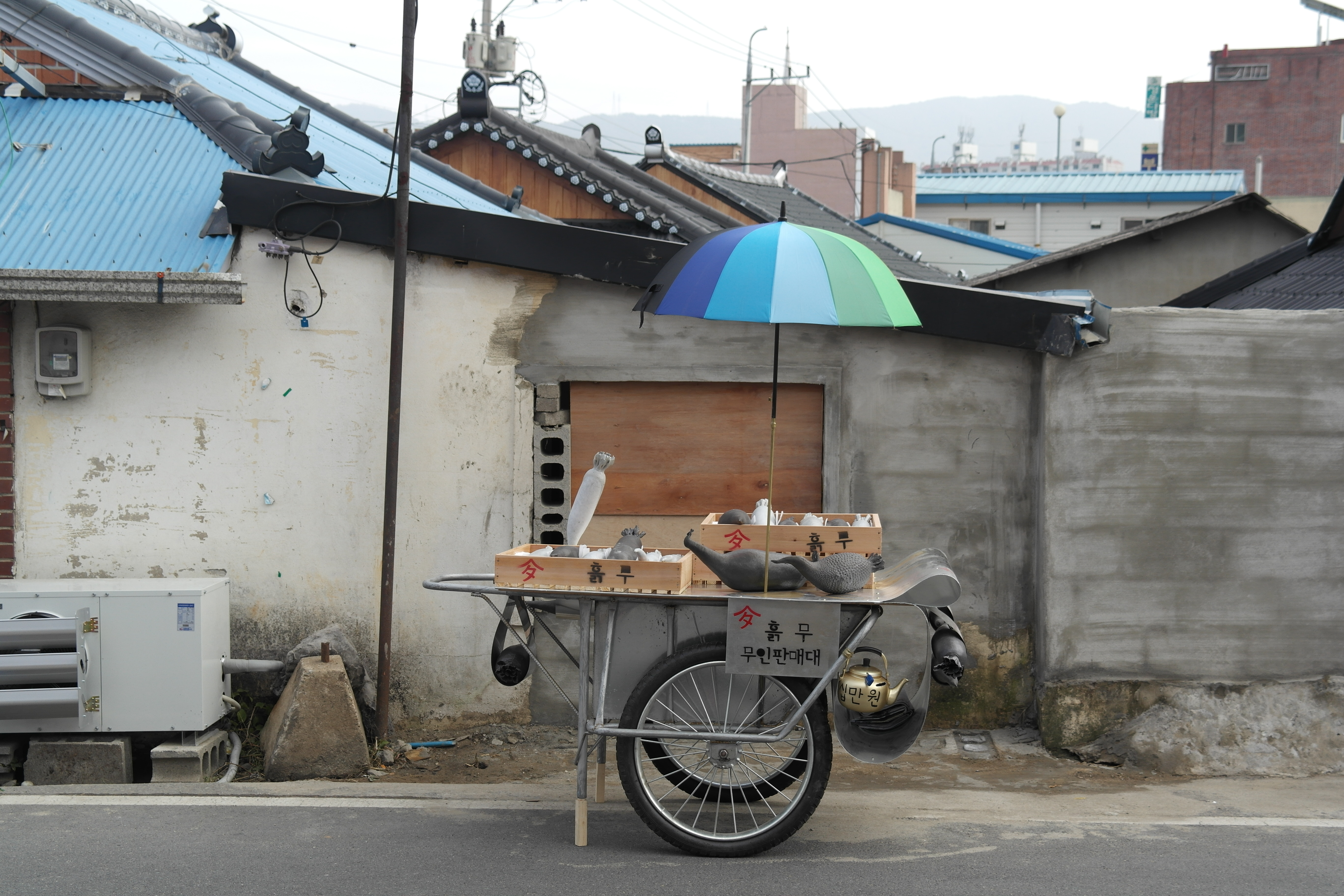 흙 무 つち大根